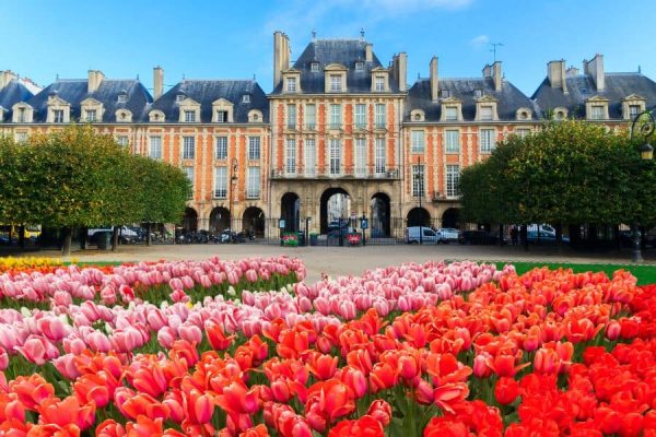 פלאס דה ווז'